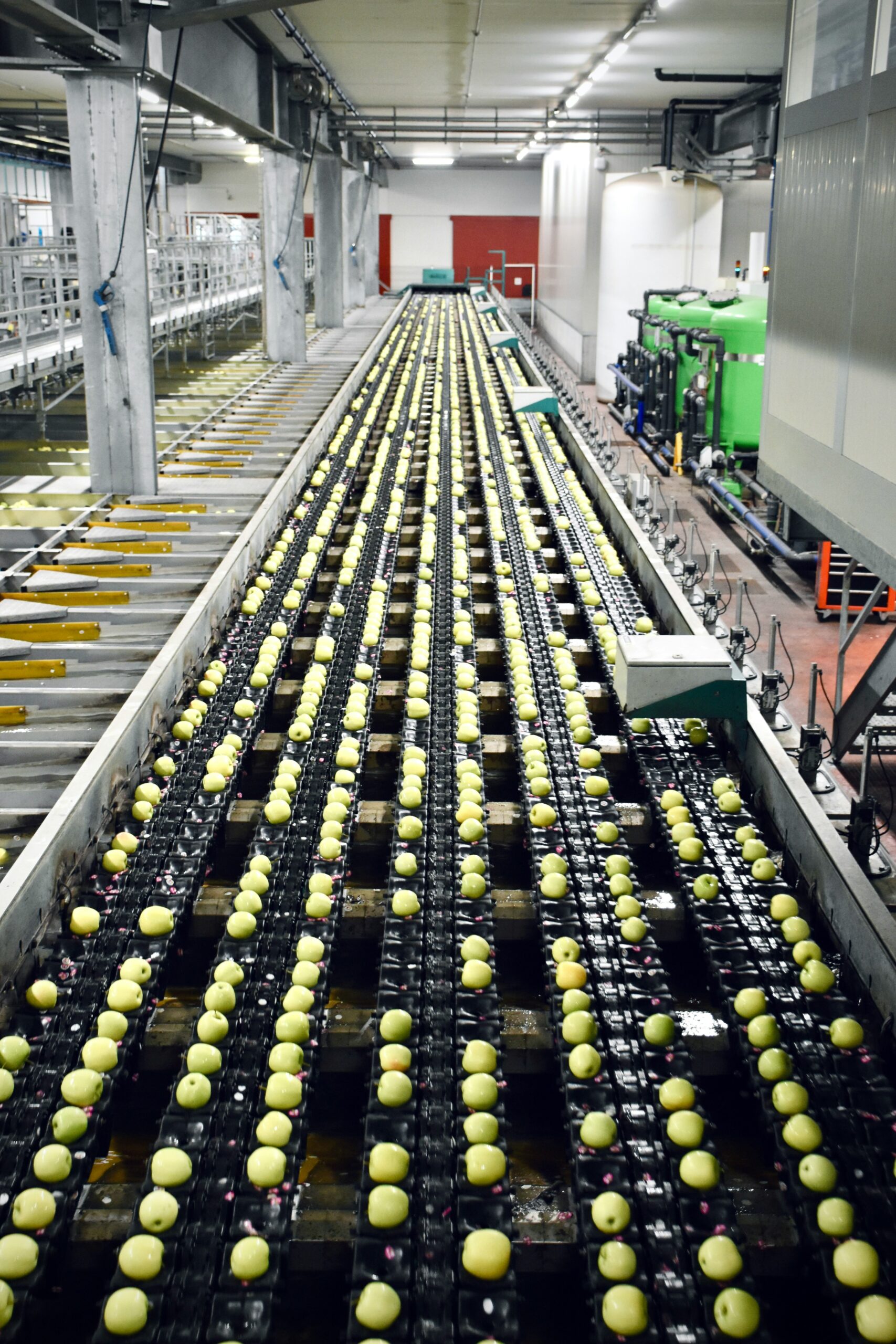 Controle de Qualidade na Indústria de Alimentos